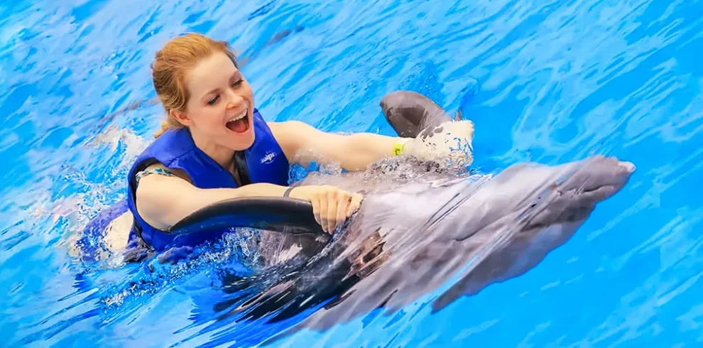 Swim wit Dolphins Image for Dubai Tourism at Habibi Tourism