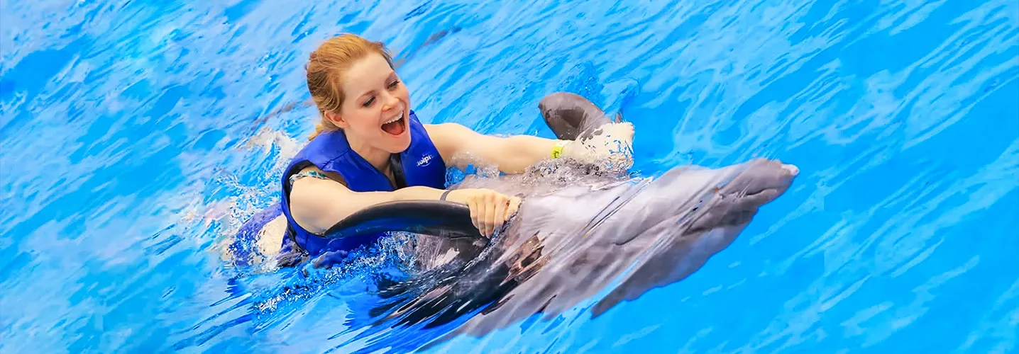 Swim wit Dolphins Image for Dubai Tourism at Habibi Tourism