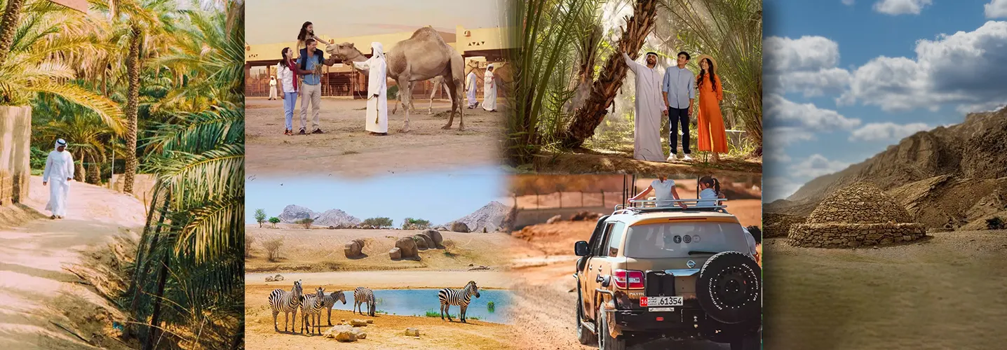 Al-Ain Image for Dubai Tourism at Habibi Tourism